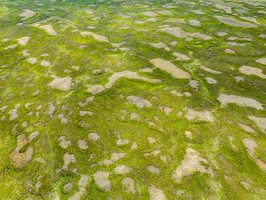 Soil erosion monitoring